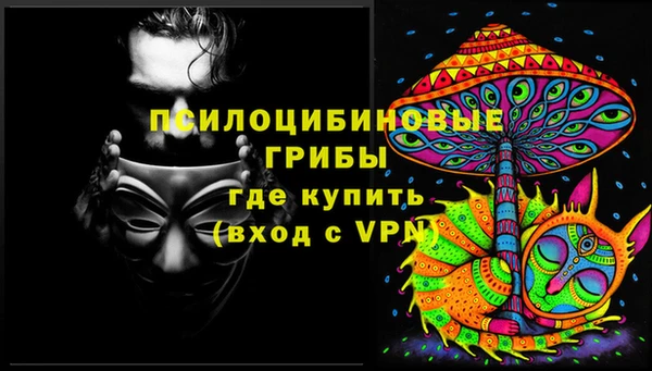 бошки Осташков