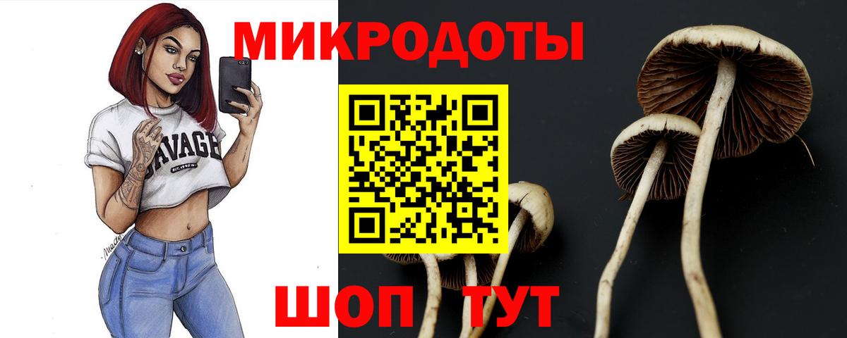 Сочи  Галлюциногенные грибы мухоморы  Вход с VPN 